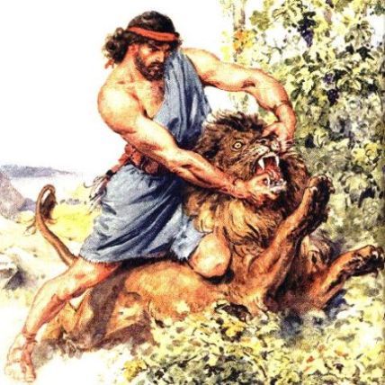 samson-illustration-lion