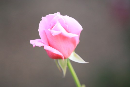 3Q8A3656.JPG
