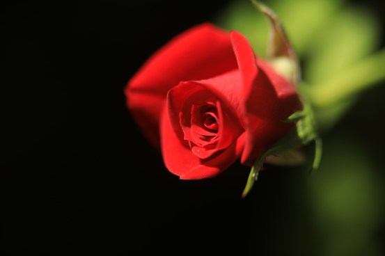 3Q8A6745.JPG