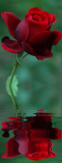 304b9d831ebb30f036f881678f66eb6c.gif