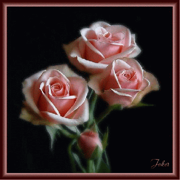 7f868ae423859865a4159cdcf1e05f63.gif