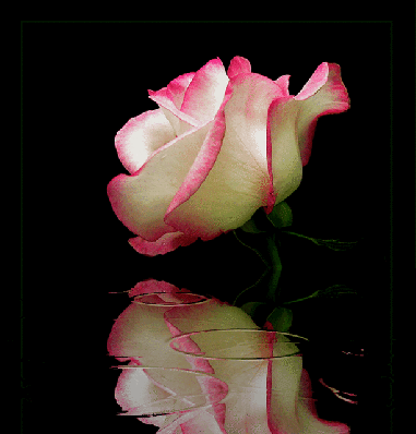 91617196.bz7JOiiV.c67.gif