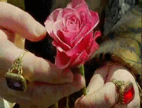 Rose-the-thorn-birds-10437721-286-217.gif