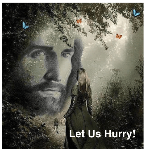 Screen Shot 2018-07-22 at 10.16.46 PM.png