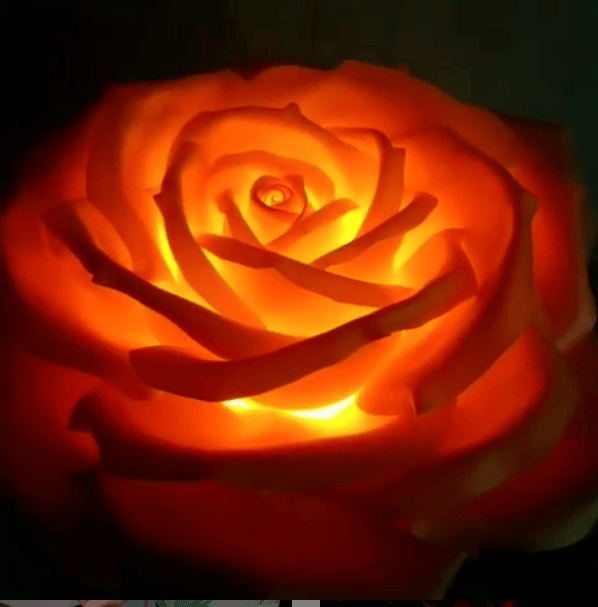 Screen Shot 2019-03-16 at 4.05.11 PM.png